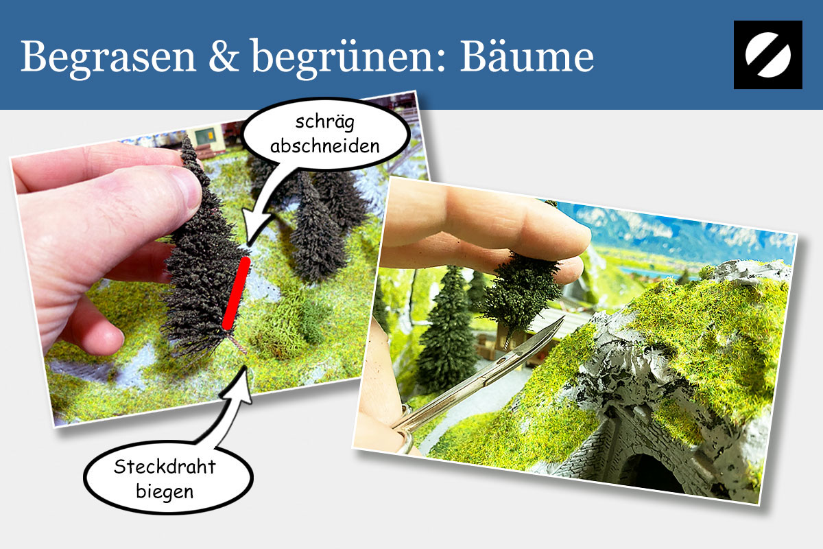 Begrasen & begrünen: Tipps