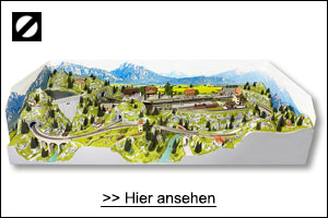 Eingleisige Hauptstrecke mit abzweigender Nebenstrecke